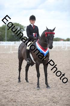 DPS-2785