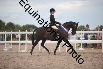 DPS-2798