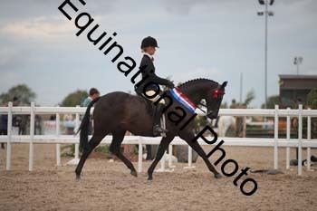 DPS-2799