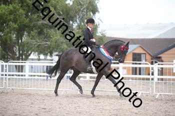 DPS-2806