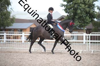DPS-2807