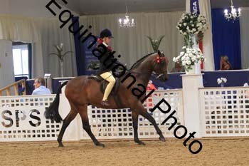 BYT-2010