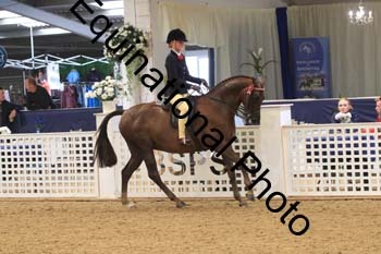 BYT-2012