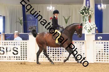 BYT-2014