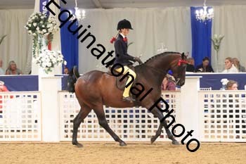 BYT-2015