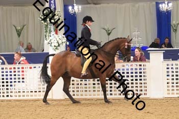 BYT-2016