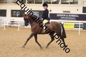 BYT-2019