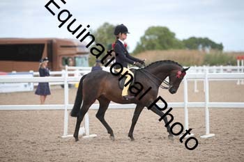 EBQ-1323
