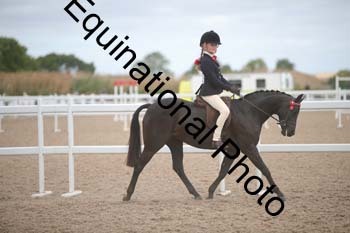 EBQ-1334