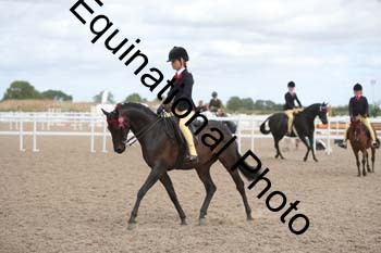 EBQ-1364