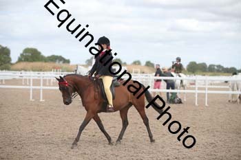 EBQ-1366