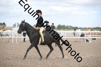 EBQ-1367