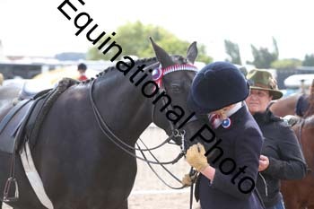 EBQ-1382