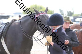 EBQ-1383