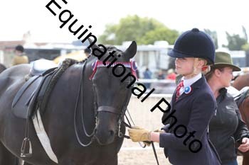 EBQ-1384