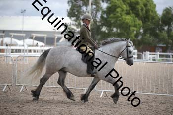 EBQ-1508
