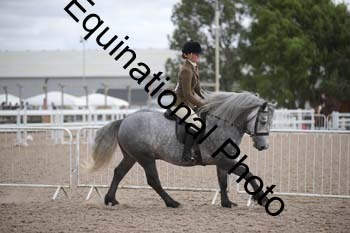 EBQ-1526