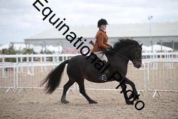 EBQ-1528