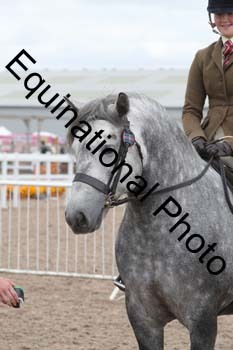 EBQ-1582