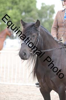 EBQ-1599