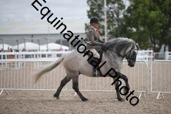 EBQ-1628