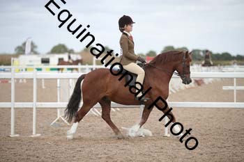 EBQ-1647