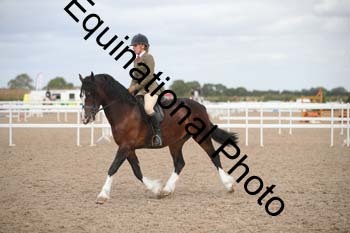EBQ-1676