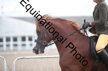 EBQ-1681