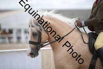 EBQ-1682