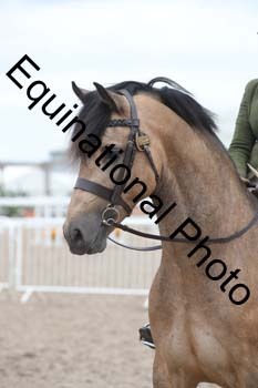 EBQ-1726
