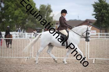 EBQ-1774