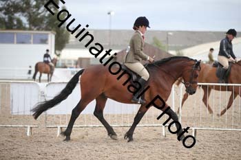 EBQ-1779