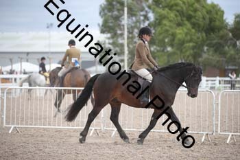 EBQ-1788