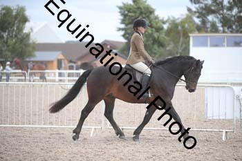 EBQ-1790