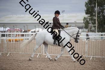 EBQ-1795