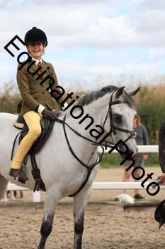 MEM-1307