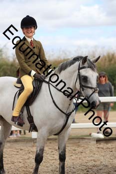 MEM-1308