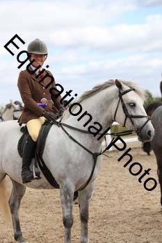 MEM-1317