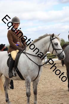MEM-1319