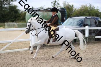 MEM-1376
