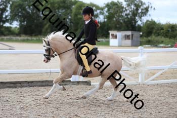 MEM-1391