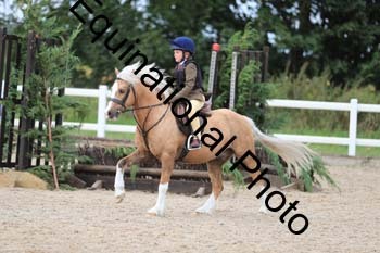 MEM-1577