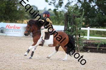 MEM-1592