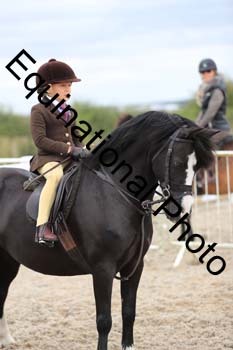 MEM-1653