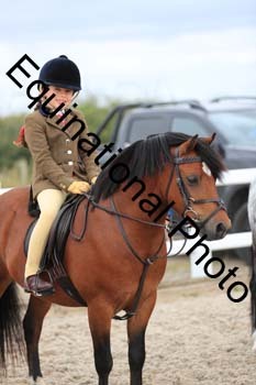 MEM-1660