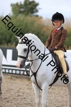 MEM-2077
