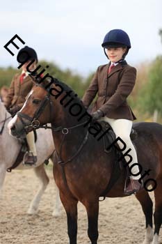 MEM-2085