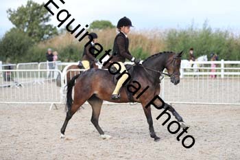 MEM-2207