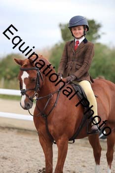 MEM-2241