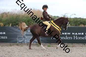 MEM-2277